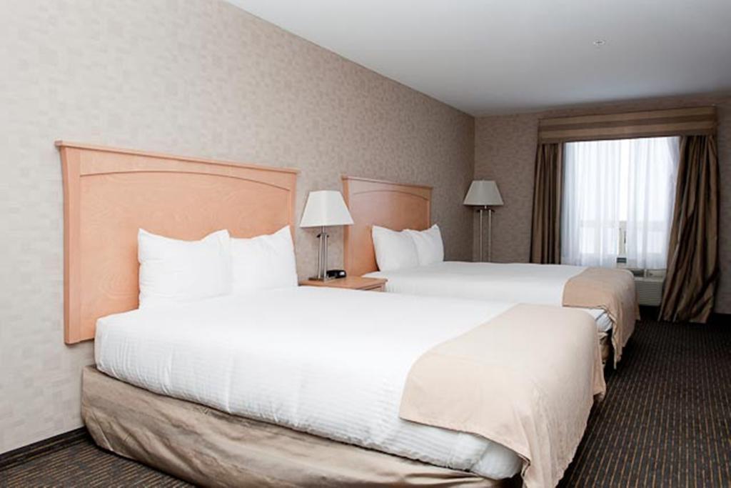 Paradise Inn And Suites Valleyview Camera foto